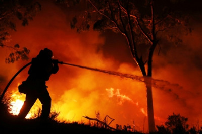 За 10 дней в Калининградской области сгорело 17 гектар леса
