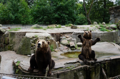 Калининградский зоопарк приглашает на экскурсию «Другой зоопарк»